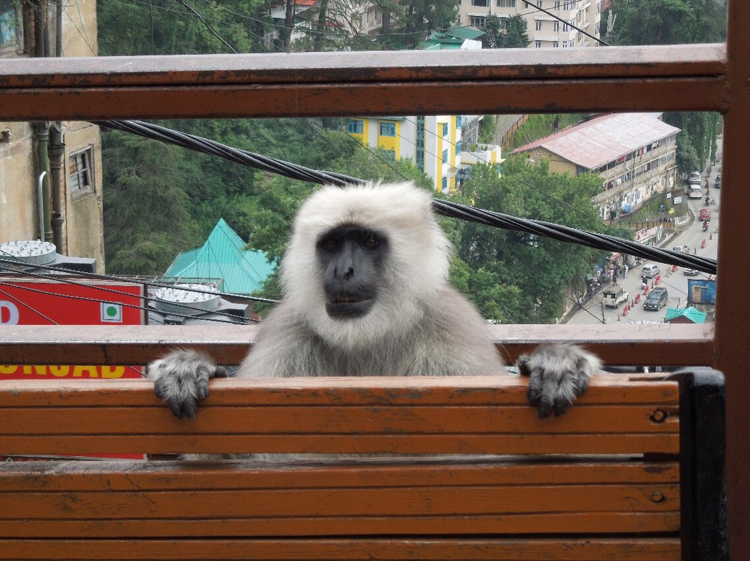 Kalka - Shimla Railway-西姆拉必去景点