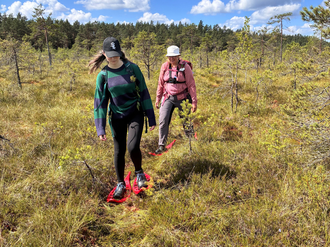 Wilderness Experiences in Soomaa National Park-派尔努必去景点