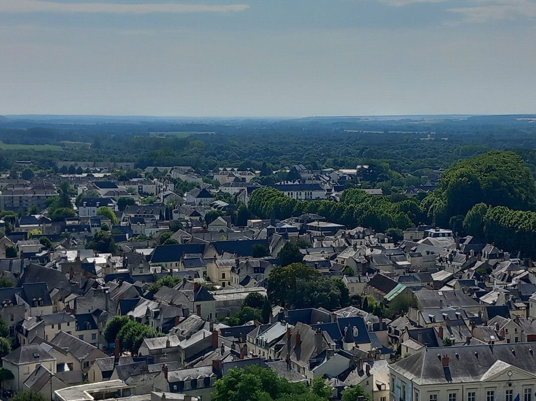 Forteresse Royale De Chinon-希农必去景点