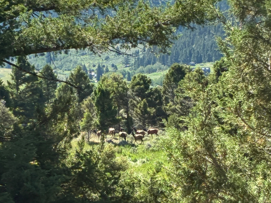 Wilderness Connection-加德纳必去景点