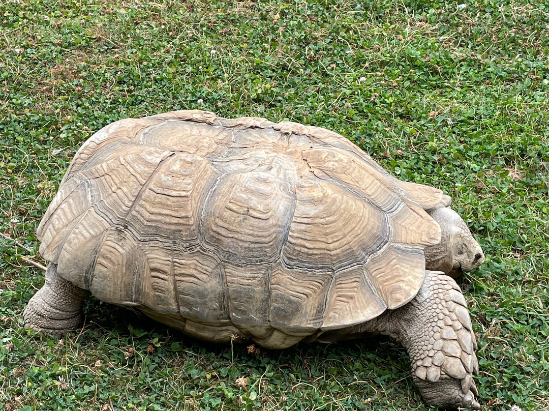 Hamerton Zoo Park-Sawtry必去景点
