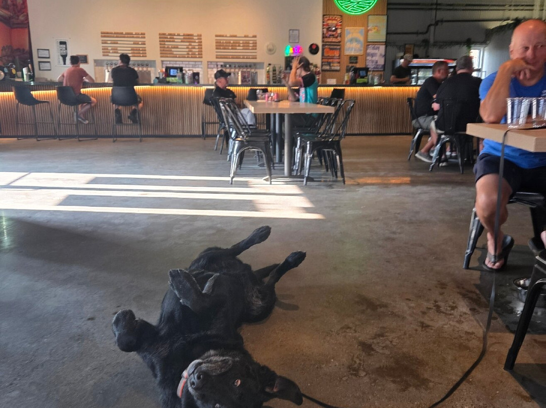 Bright Ideas Brewing Westfield