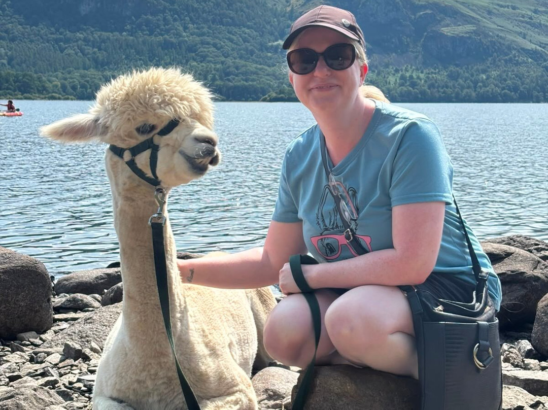 Alpacaly Ever After-Portinscale必去景点