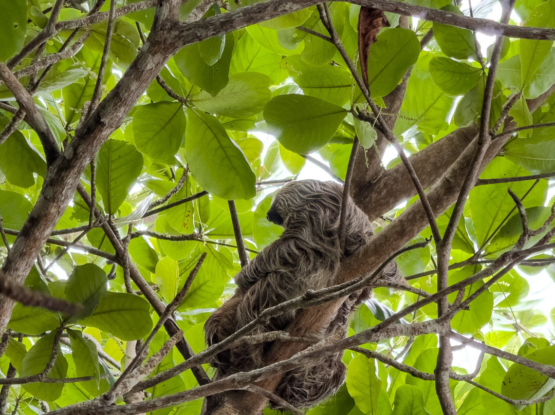 Cahuita National Park-卡维塔必去景点