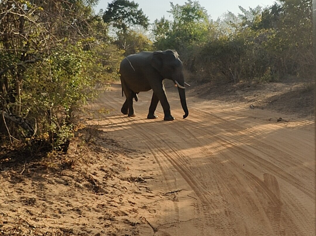 Indunil tours Sri Lanka-Deniyaya必去景点