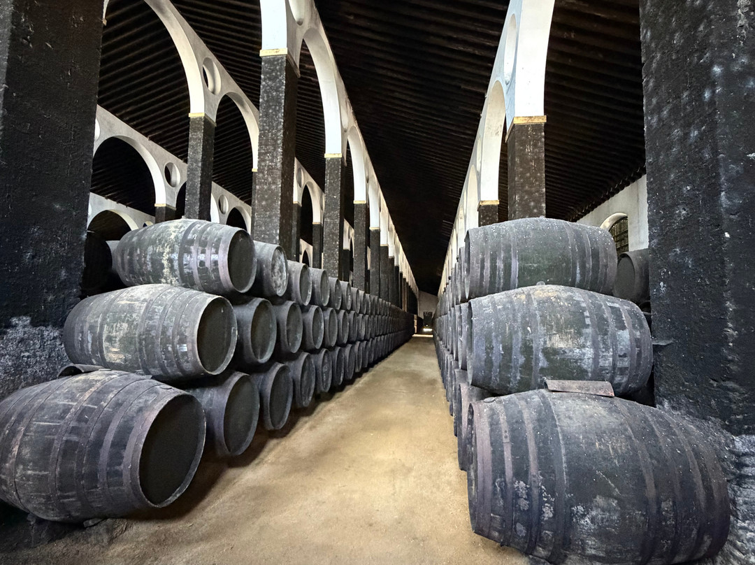 Bodegas Barbadillo-Sanlucar de Barrameda必去景点