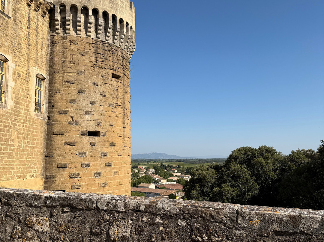Chateau de Suze-la-Rousse-Suze-la-Rousse必去景点