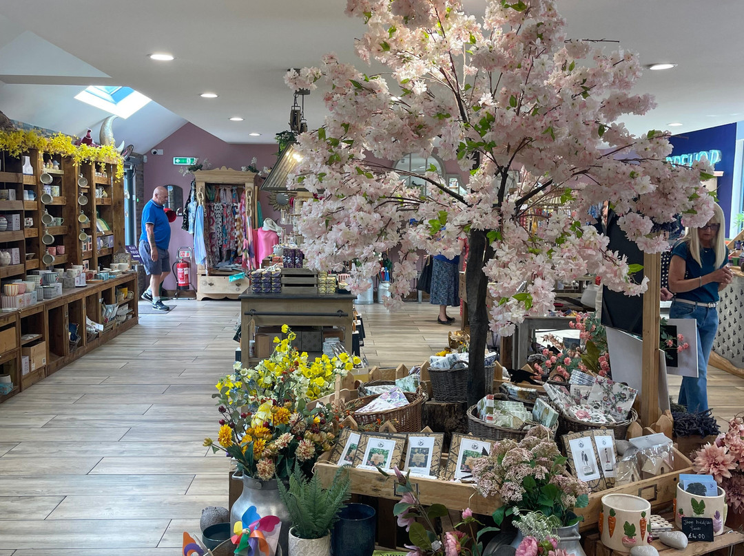 Mayfield Lavender Cafe and Gift Shop-Epsom必去景点