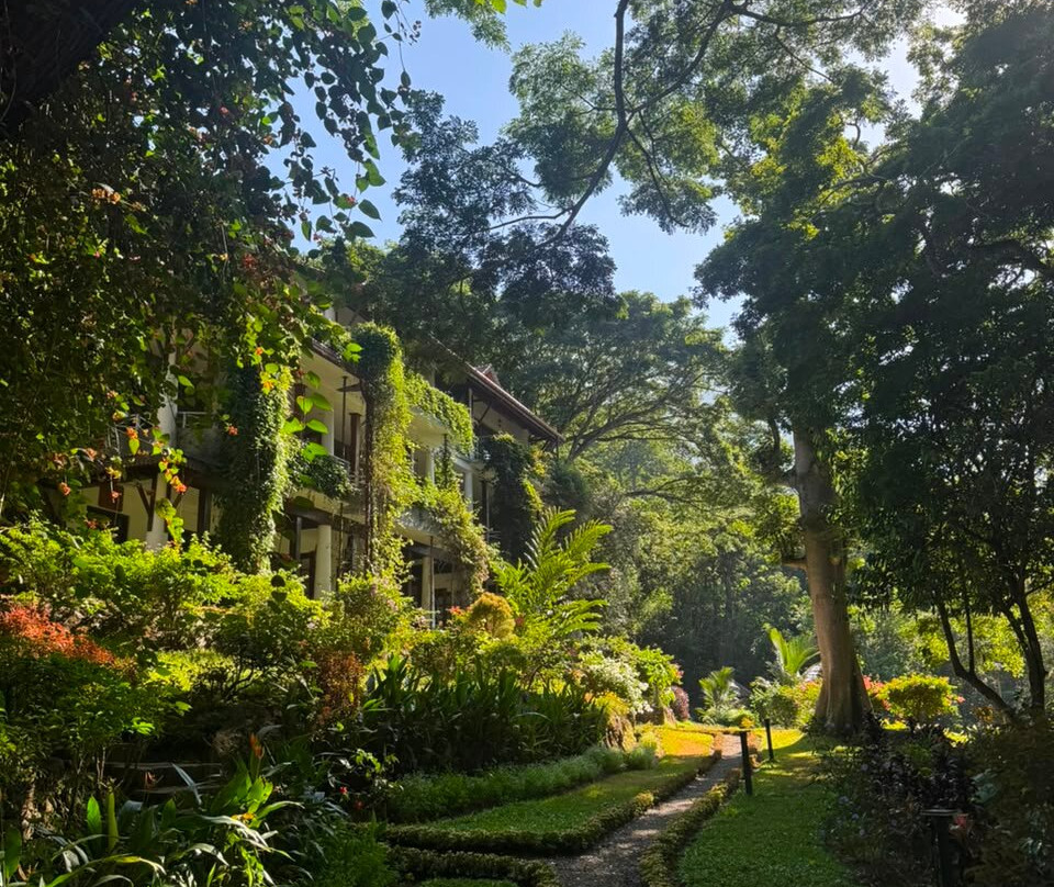 Spirit of Ceylon Retreat