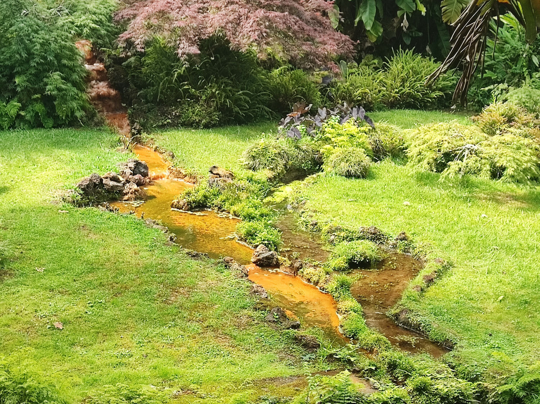 Parque Terra Nostra-富尔纳斯必去景点