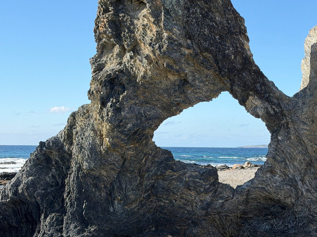 Seal Rocks-纳鲁马必去景点