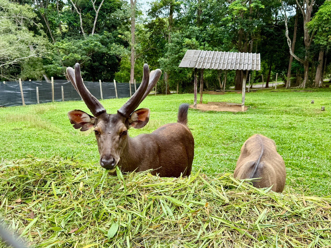 Khao Kho Zoo-考柯县必去景点