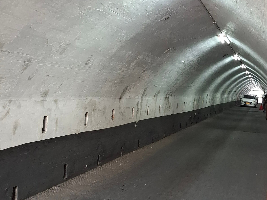 Sendall Tunnel-St. George's必去景点