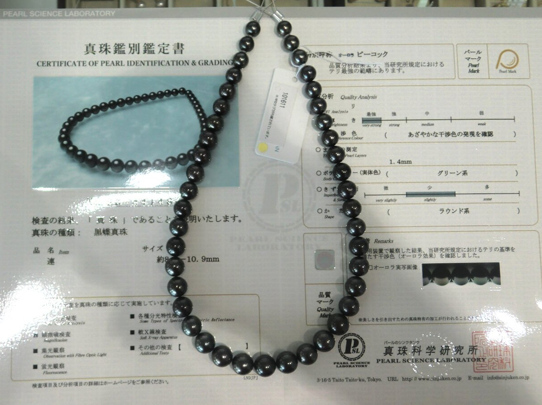Canilli Pearl-Meguro必去景点