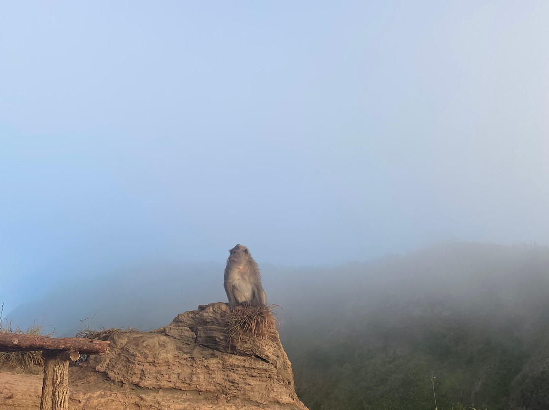 Batur Sunrise Experience-Central Batur必去景点