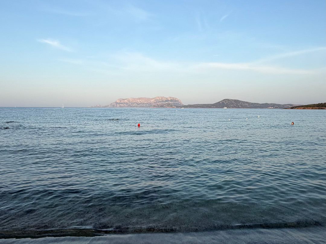 Spiaggia Pittulongu - La Playa-奥尔比亚必去景点