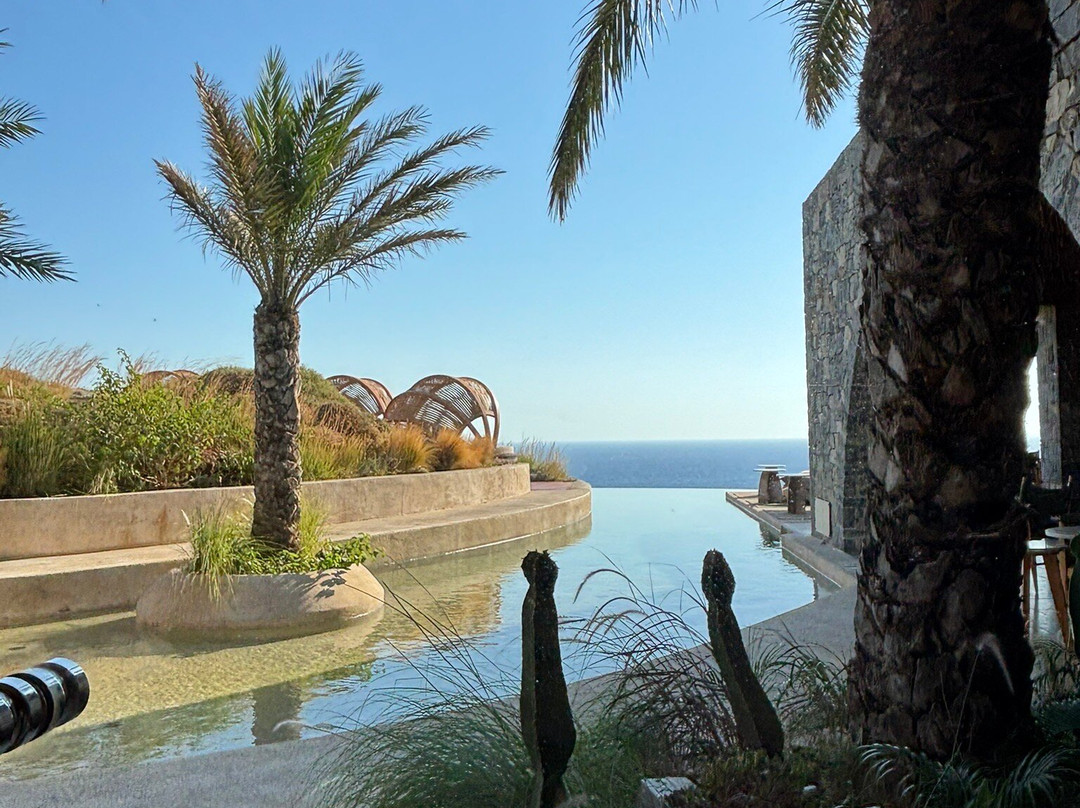 Acro Suites – A Wellbeing Resort主图