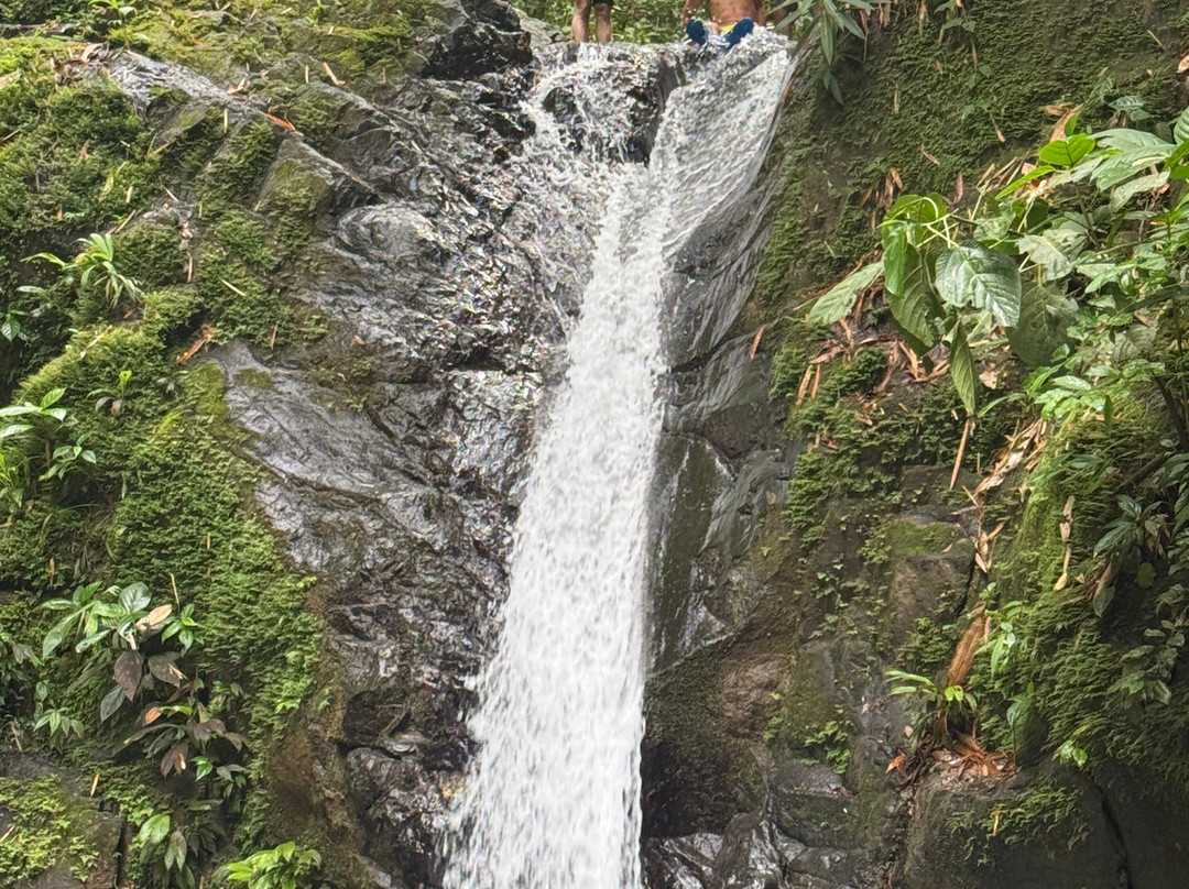 Uvita Waterfall-乌维塔必去景点