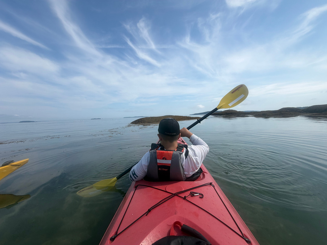 Osprey's Echo Sea Kayaking-Stonington必去景点