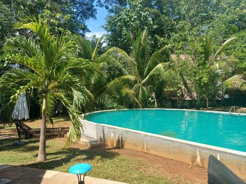 Kottawatta River Bank Resort-旅行者