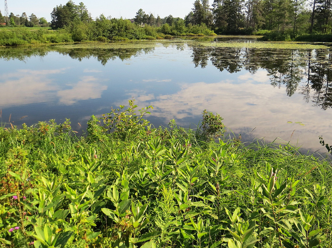 Seney National Wildlife Refuge-Seney必去景点