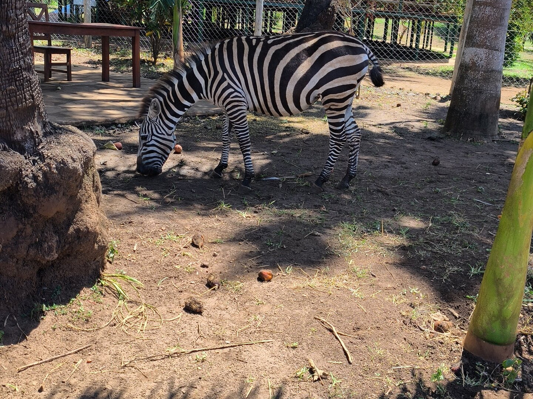 Bora Bora Wildlife Park-迪亚尼必去景点