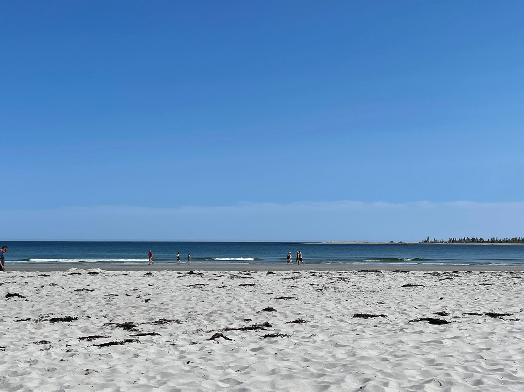Beach Meadows Beach Park-Brooklyn必去景点