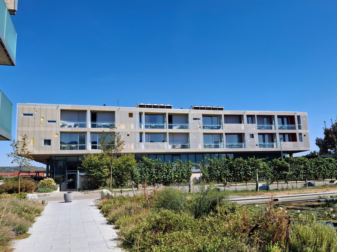 Schoenberg am Kamp酒店住宿-Loisium Wine & Spa Hotel Langenlois