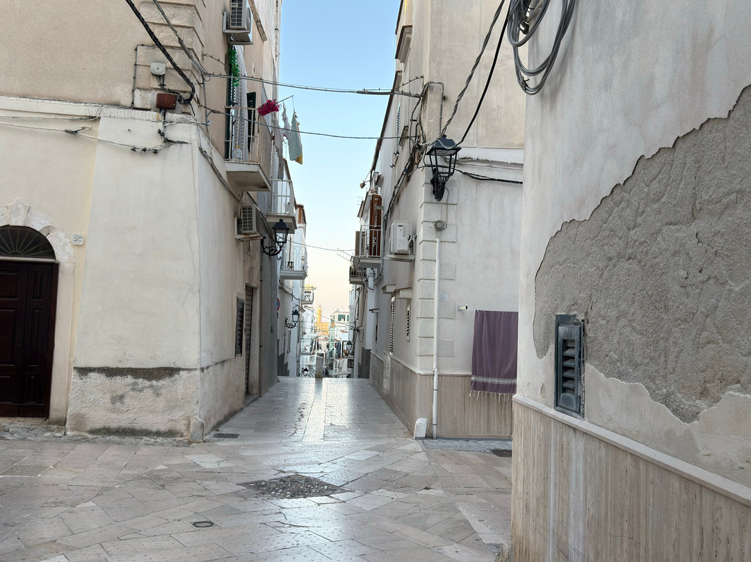 Faro di Vieste-维耶斯泰必去景点