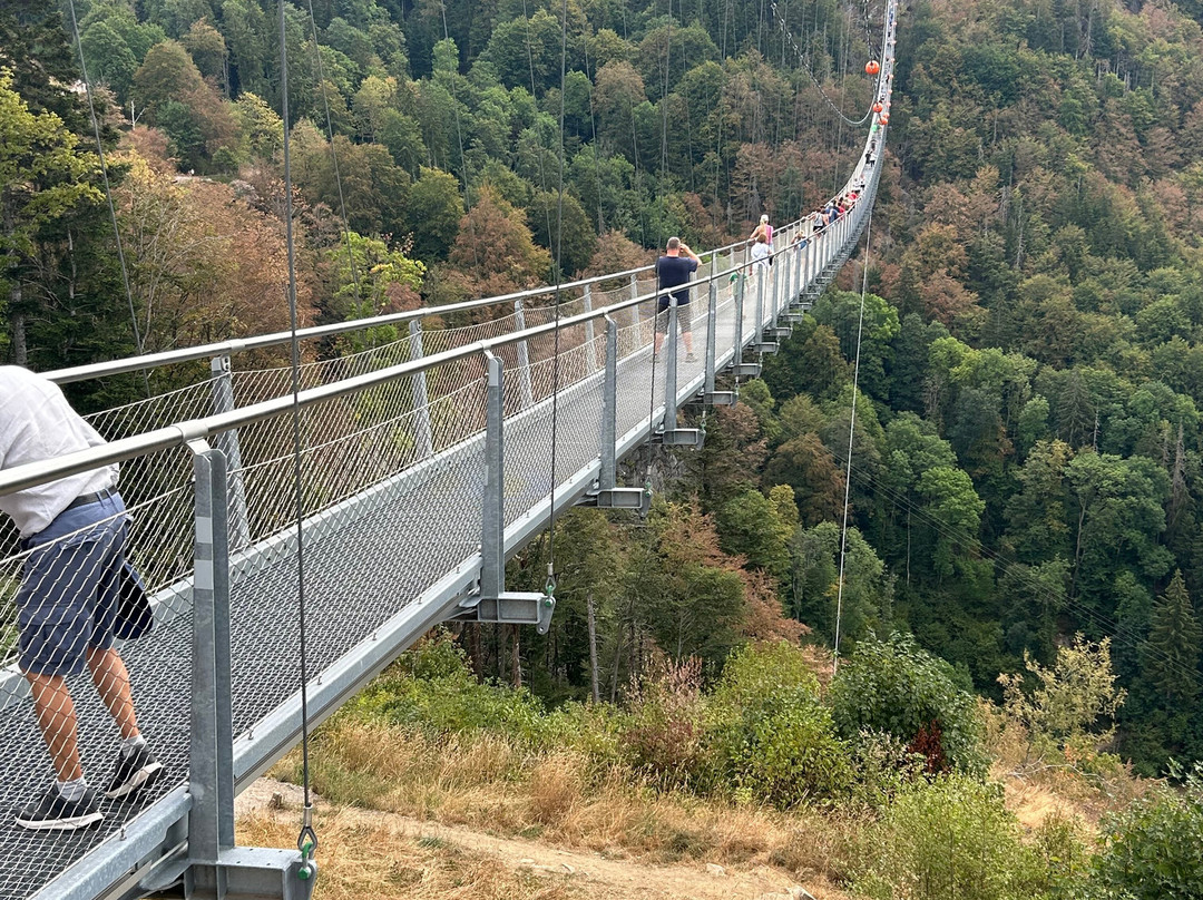 Blackforestline Hangebrucke-托特瑙必去景点