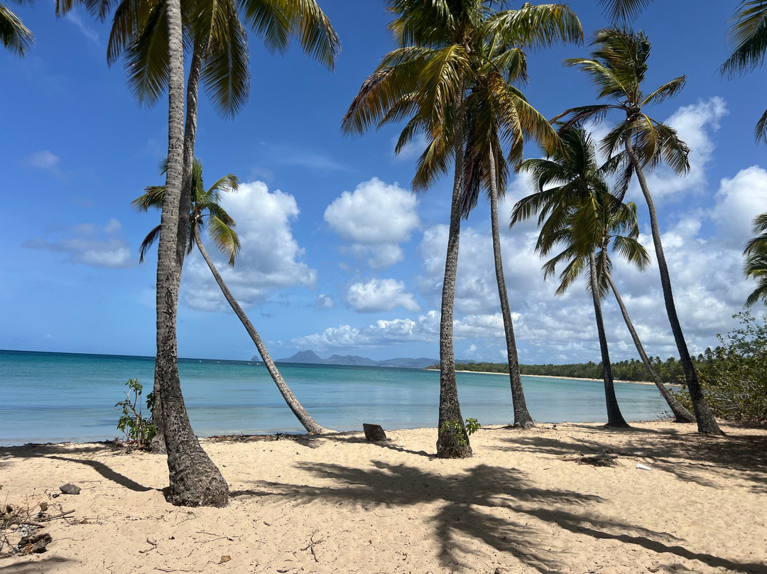 Plage des Salines-Sainte-Anne必去景点