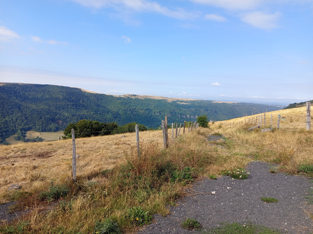 Locaquad Cantal