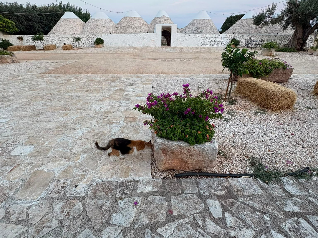Masseria Castelluzzo