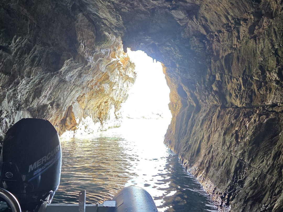 Feel Adriatic Nature Boat Tours Zadar-扎达尔必去景点