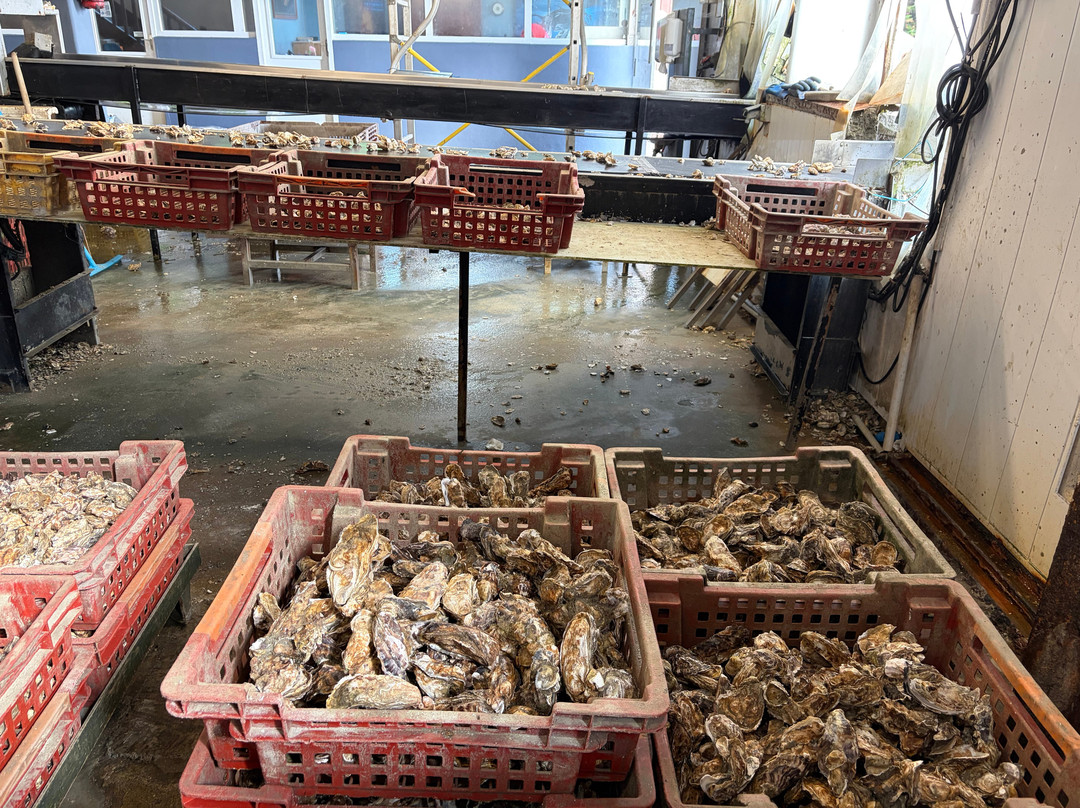 La Ferme Marine-康卡勒必去景点
