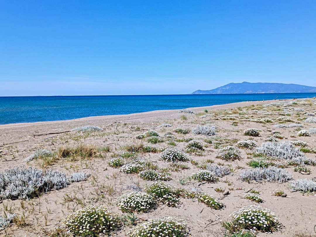 Spiaggia di Macchiatonda-Capalbio必去景点