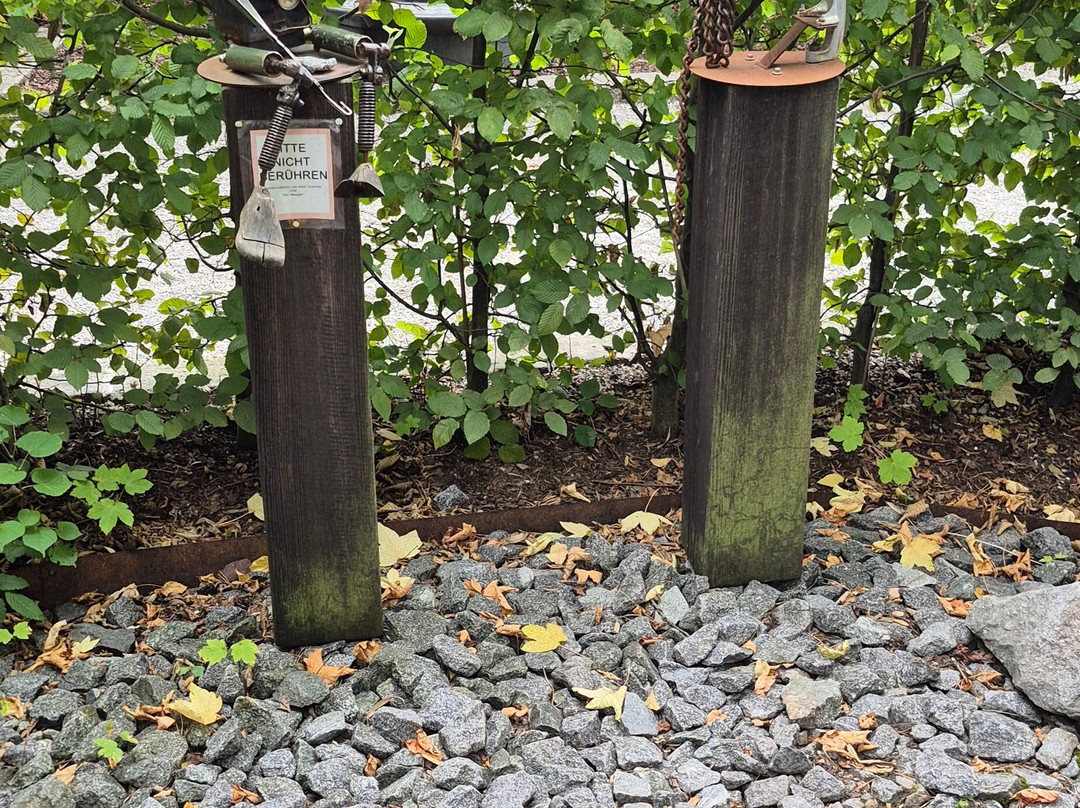 Erlebniswelt Flederwisch-Furth im Wald必去景点