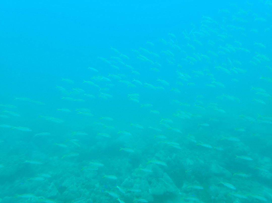 Trinco Blue Water Sports-Trincomalee必去景点