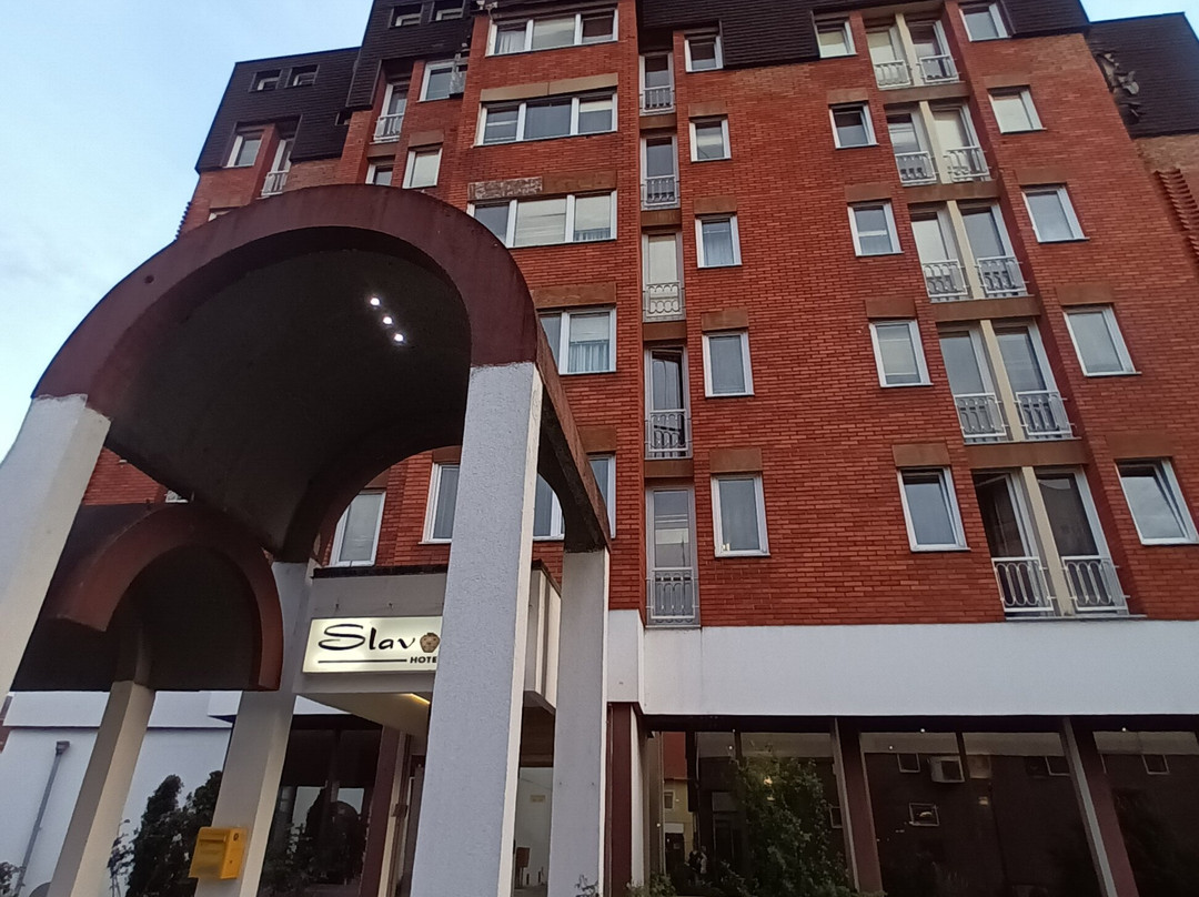 斯拉沃尼哈酒店主图
