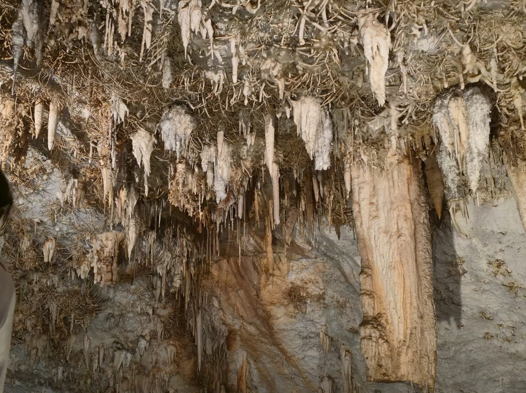 Cueva De Pozalagua-Valle de Carranza必去景点