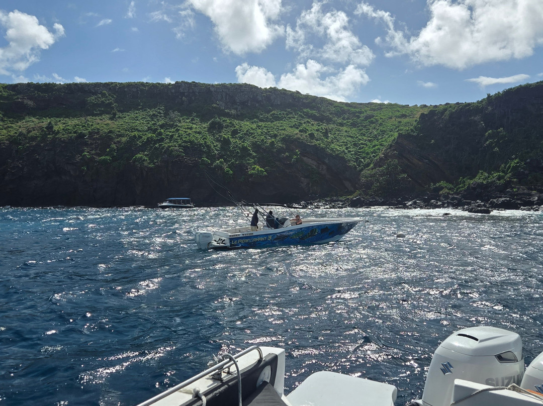 Orca Dive Club - Pereybere-Pereybere必去景点