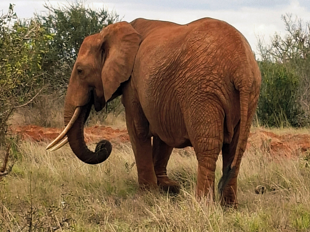 Top Africa Safaris-迪亚尼必去景点
