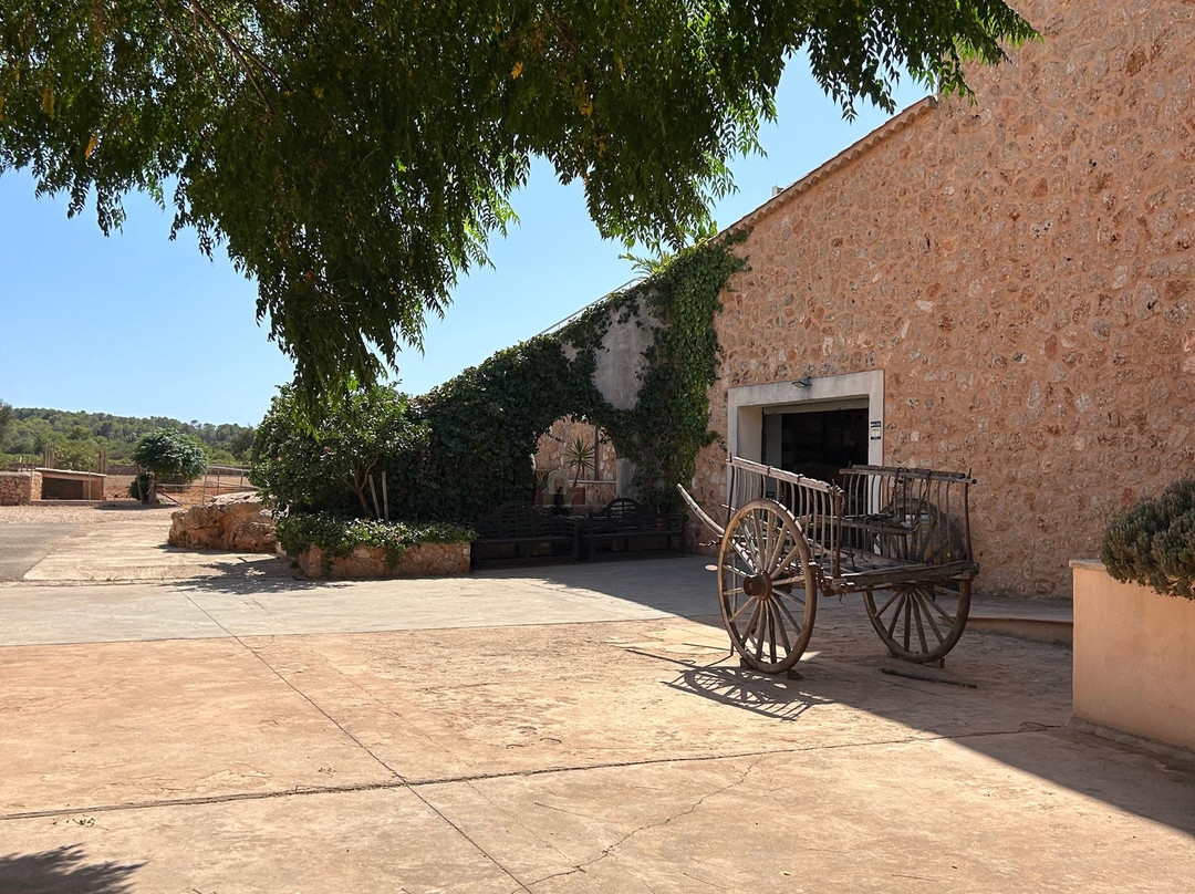 Bodegas Angel-Santa Maria del Cami必去景点