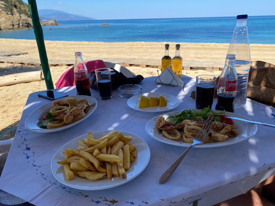Megalos Aselinos Beach-斯亚索斯必去景点