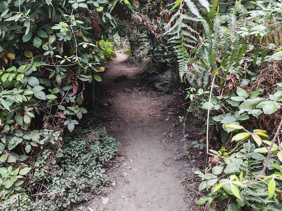 Barranco Del Infierno-奥德杰海岸必去景点