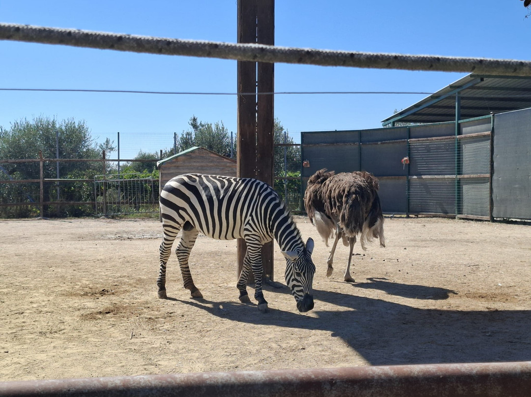 Zoo d'Abruzzo-Rocca San Giovanni必去景点