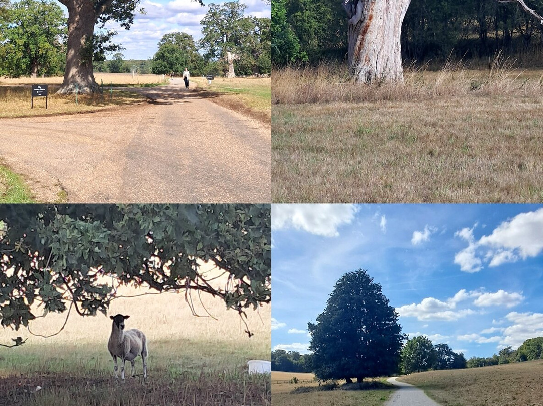 Ickworth - National Trust-Horringer必去景点