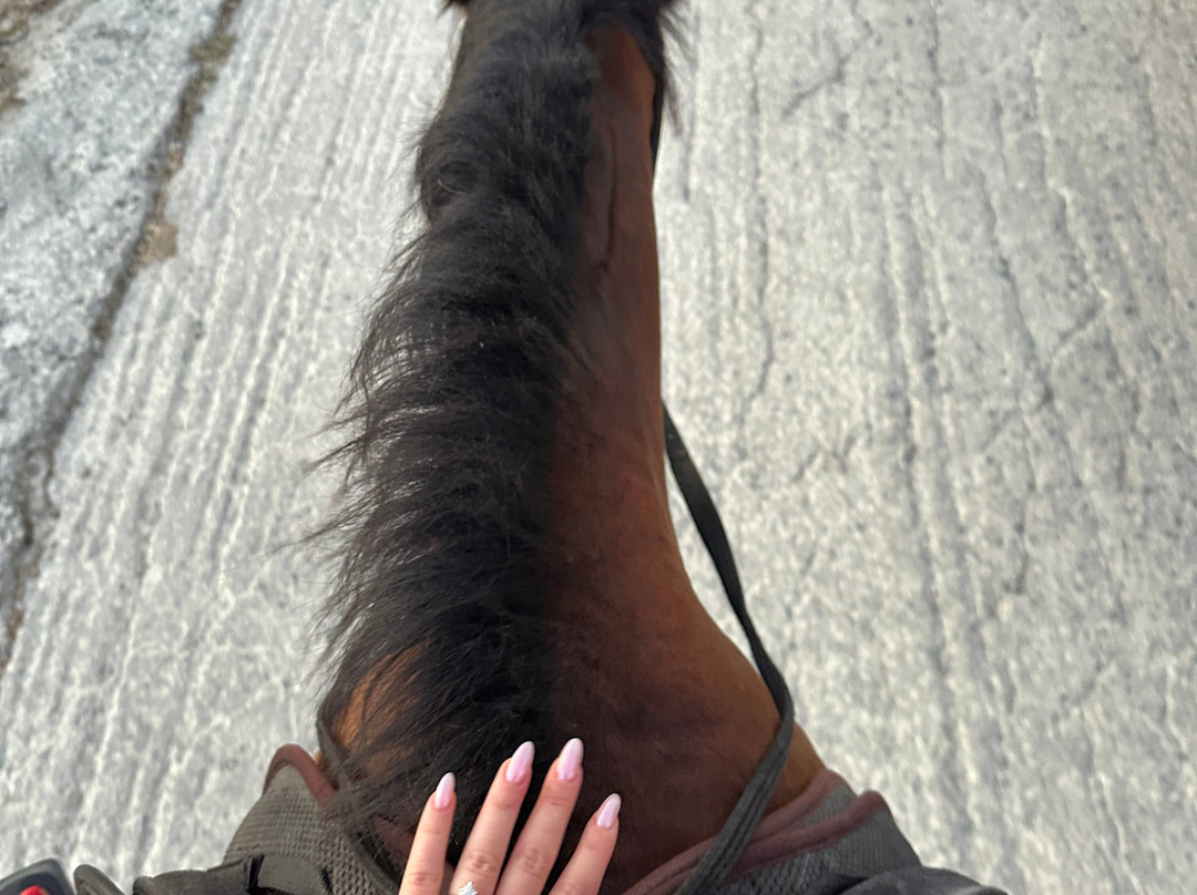 Finikia Horseriding-Finikia必去景点