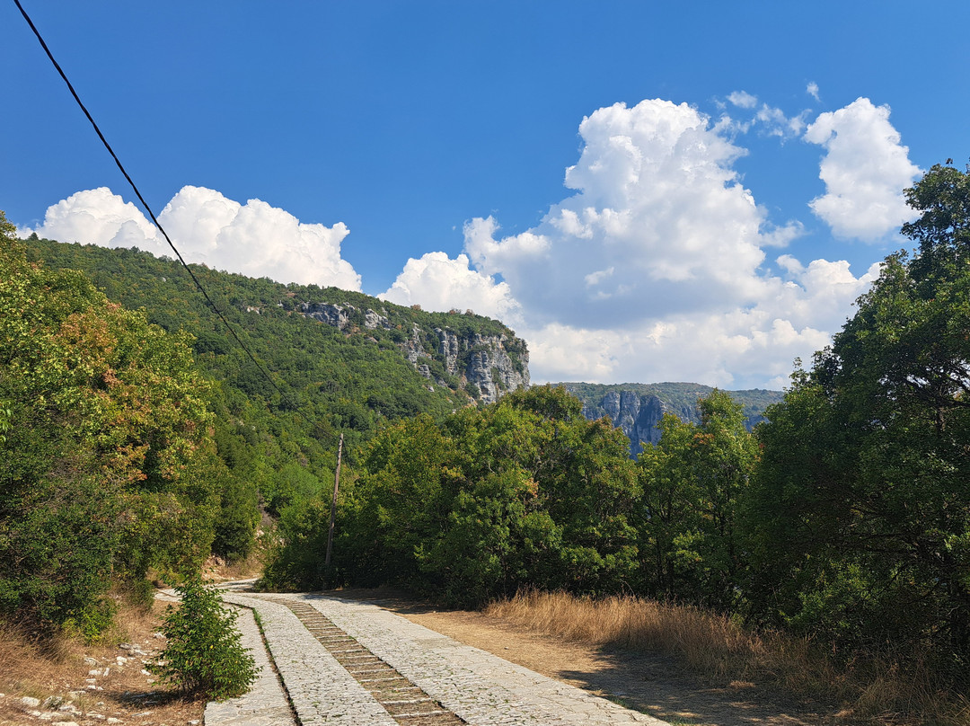 Agia Paraskevi Monastery-Monodendri必去景点