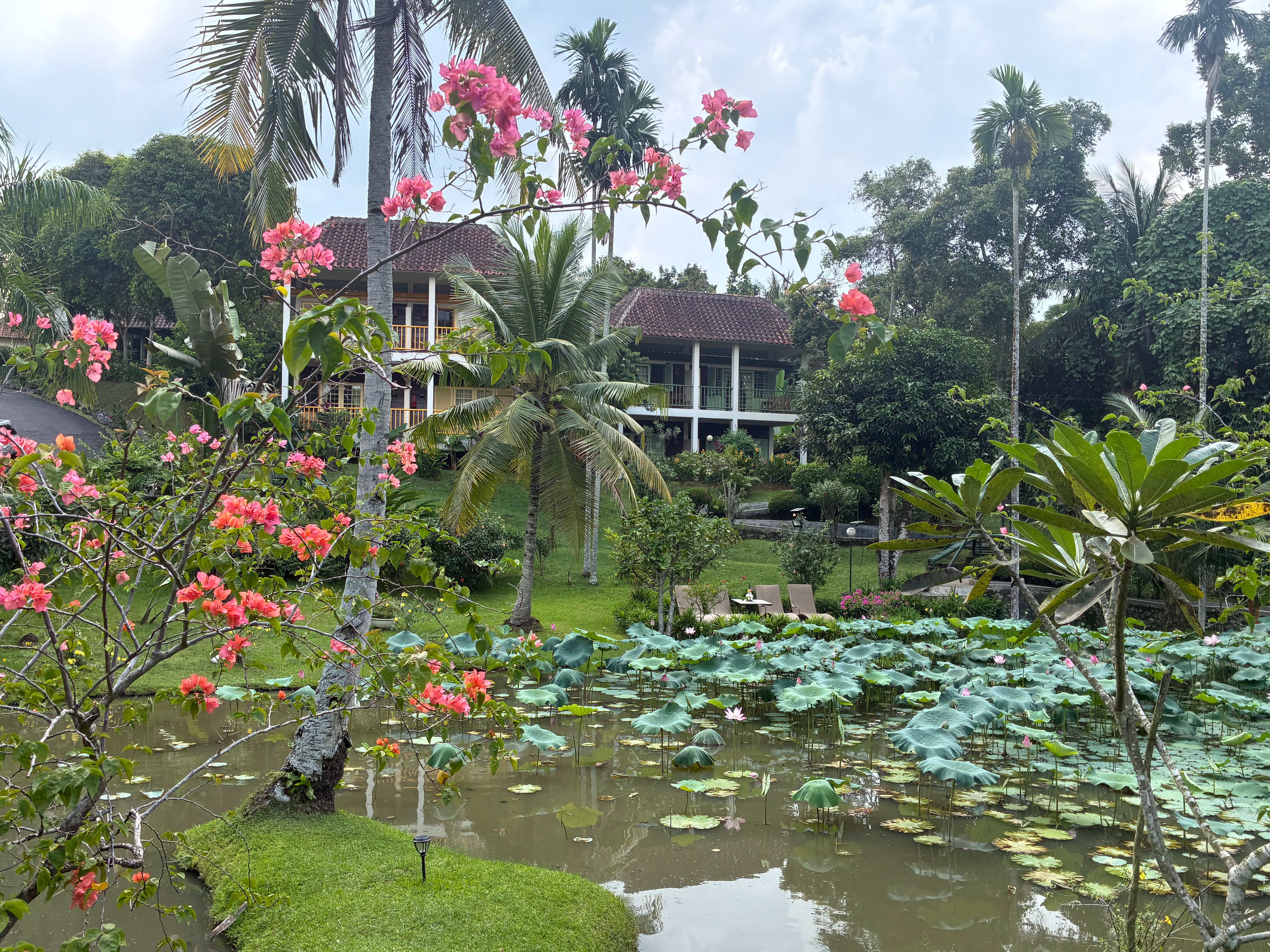Hotel Deli River-旅行者